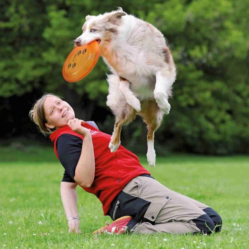 Dog Disc, Kunststoff