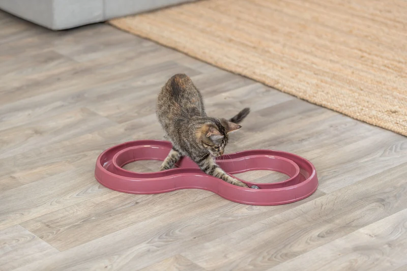 Beschäftigungsspiel Flashing Ball Race für Katzen, beliebig steckbar