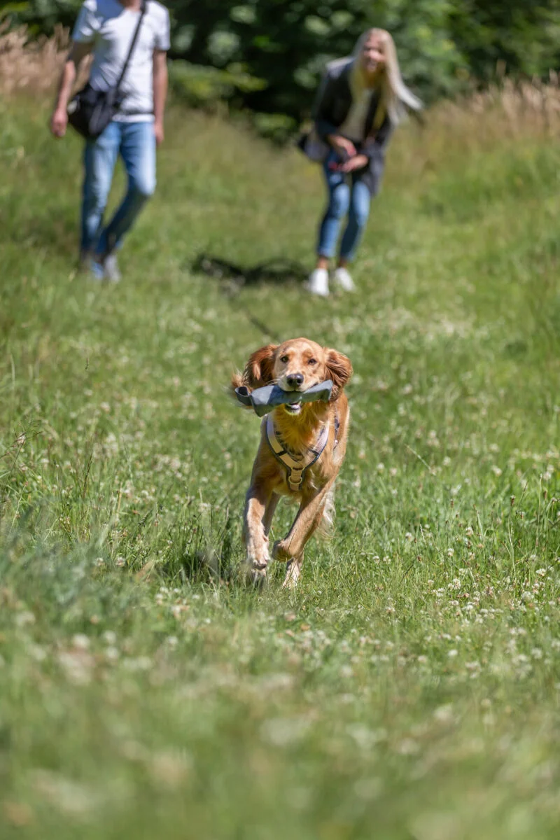 Futterdummy