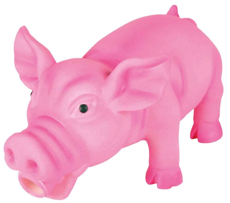Schwein