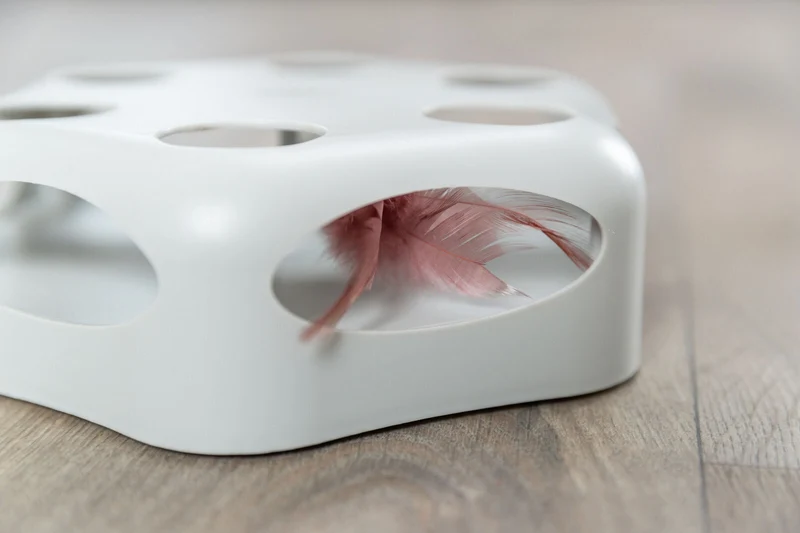 Katzenstrategiespiel mit automatisch drehender Feder