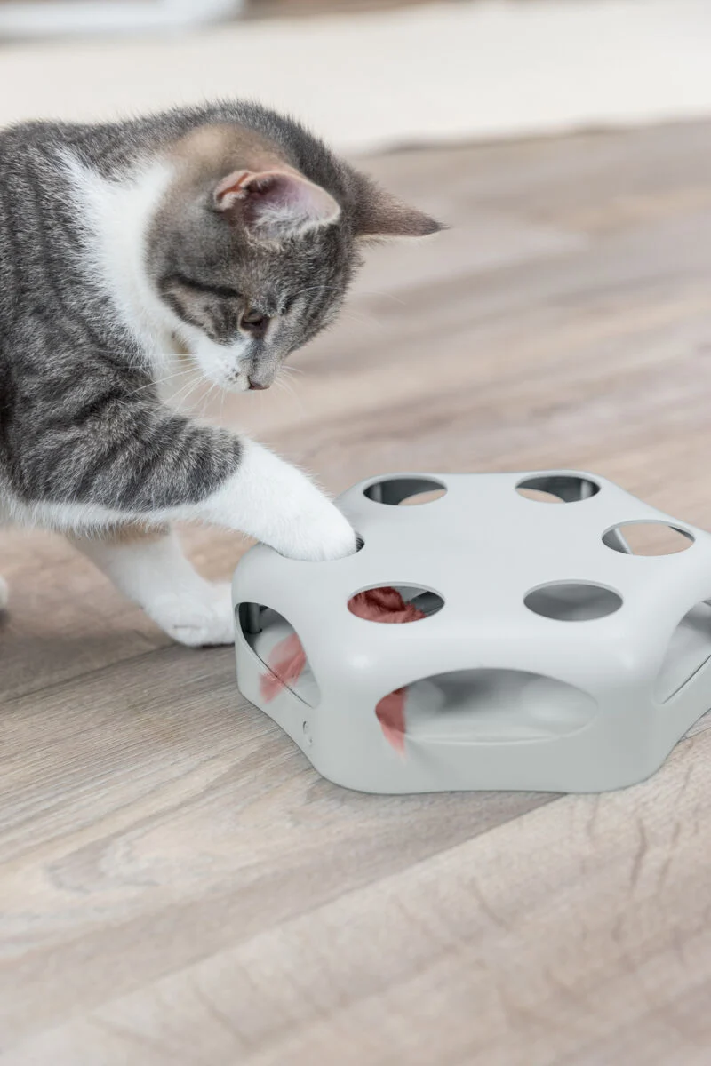 Katzenstrategiespiel mit automatisch drehender Feder