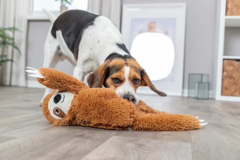 Hundespielzeug Plüsch-Faultier mit Quietscher