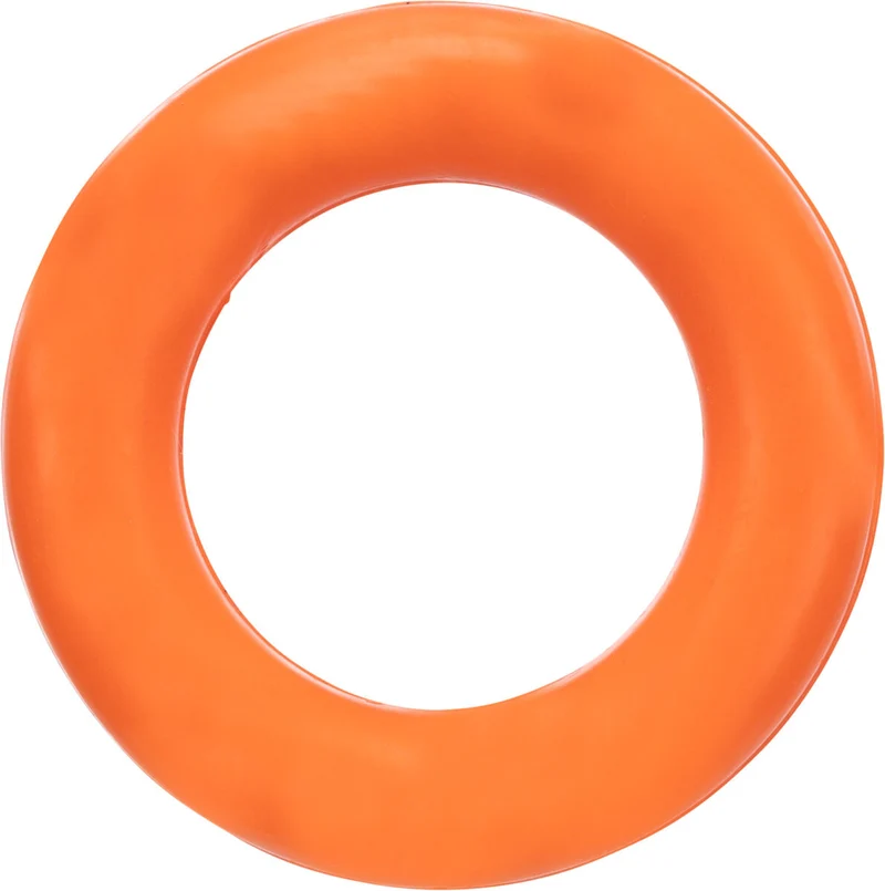 Ring Hundespielzeug
