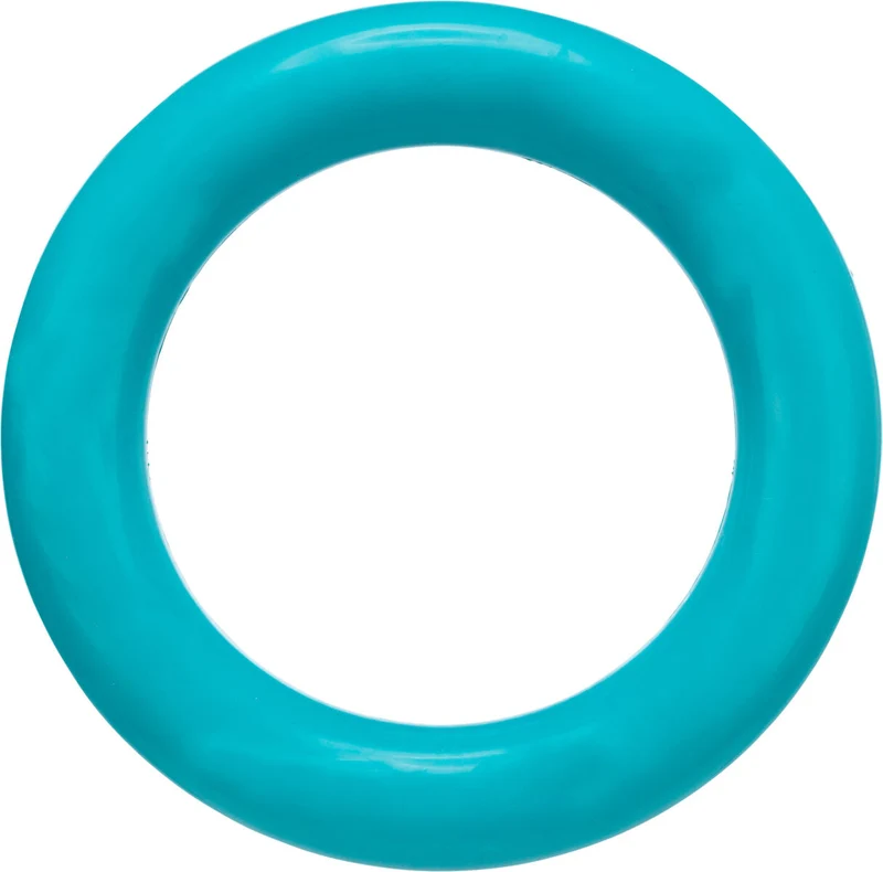 Ring Hundespielzeug