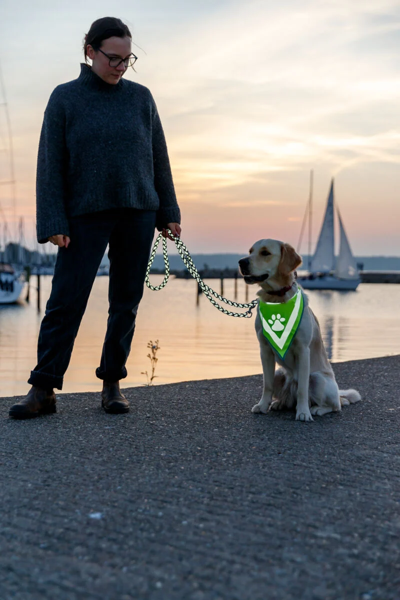 reflektierendes Hundehalstuch mit Pfotenprint