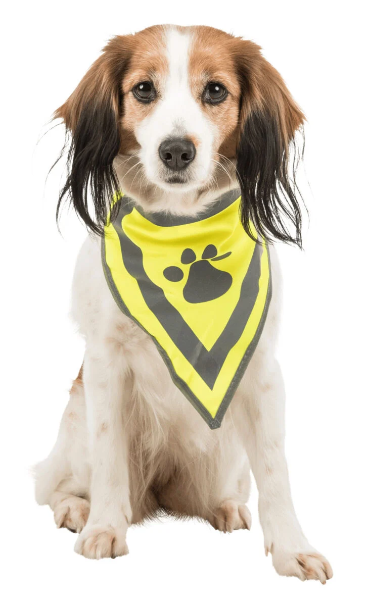 reflektierendes Hundehalstuch mit Pfotenprint