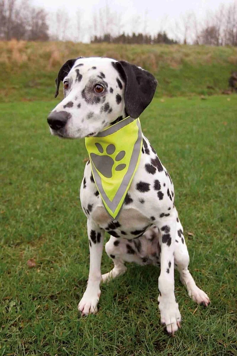 reflektierendes Hundehalstuch mit Pfotenprint