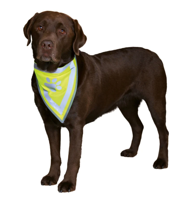 reflektierendes Hundehalstuch mit Pfotenprint