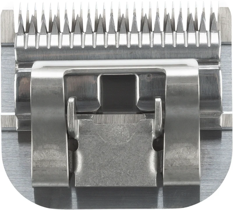 Ersatzscherköpfe