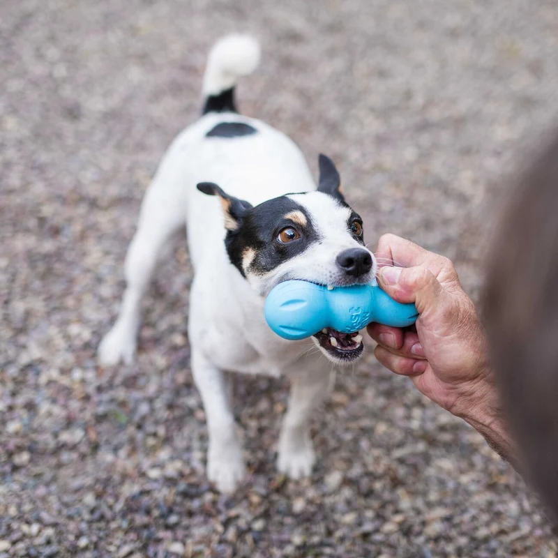 Rumpus Hundespielzeug