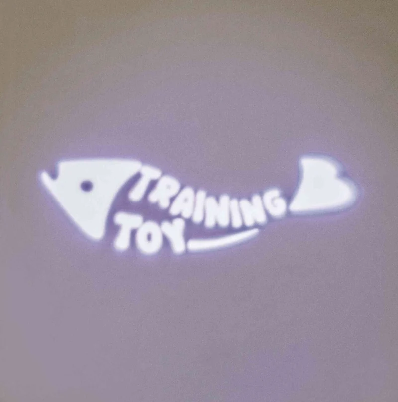 batteriebetriebener LED Pointer am Schlüsselring mit Fischmotiv für Katzen