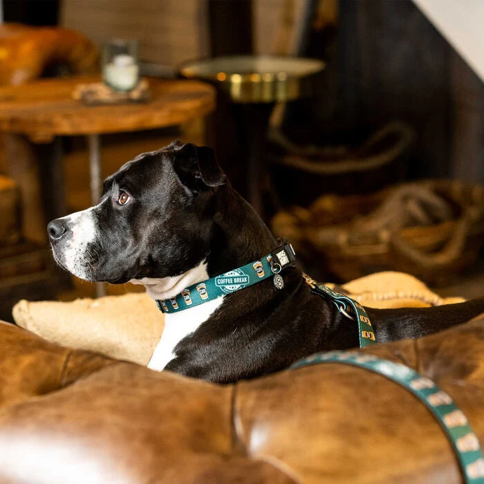 Hundehalsband Smart ID Coffee Break
