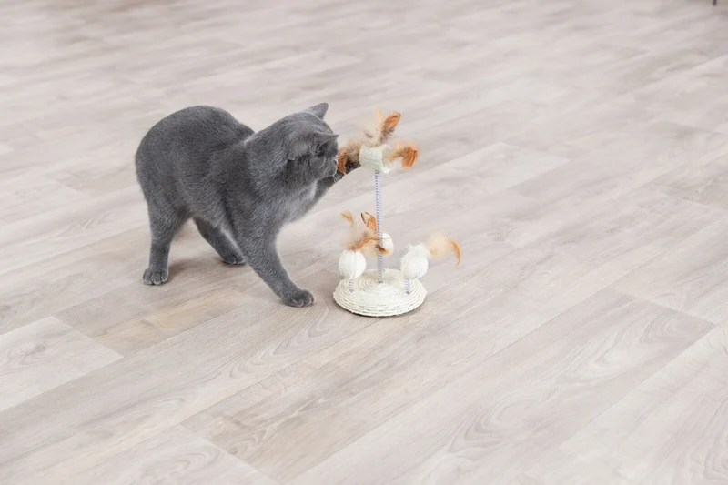 Katzenspielzeug mit wackelnden Federn und Luffa-Bällen