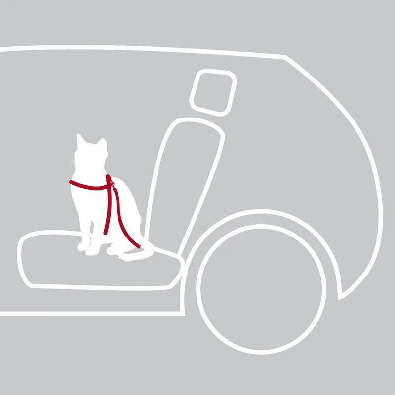 Auto-Geschirr