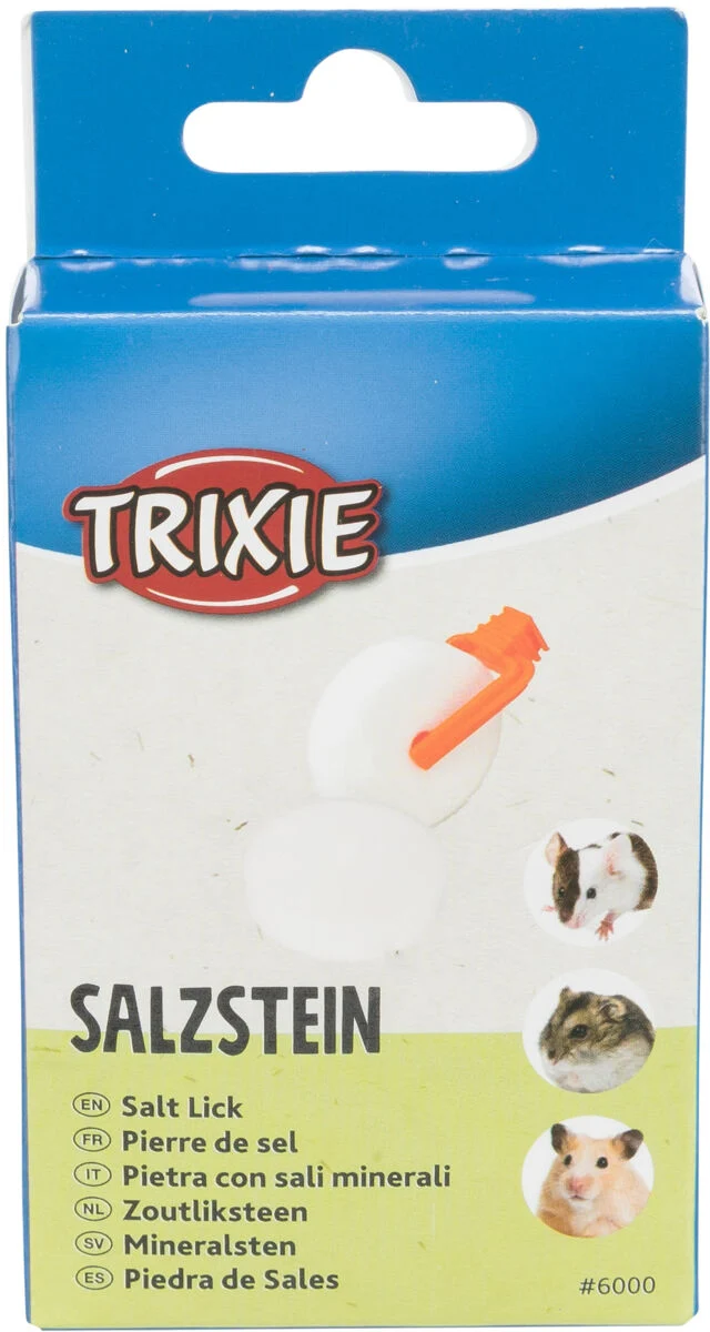 Salzstein