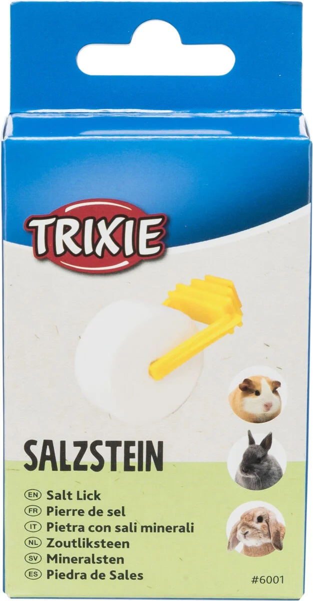 Salzstein