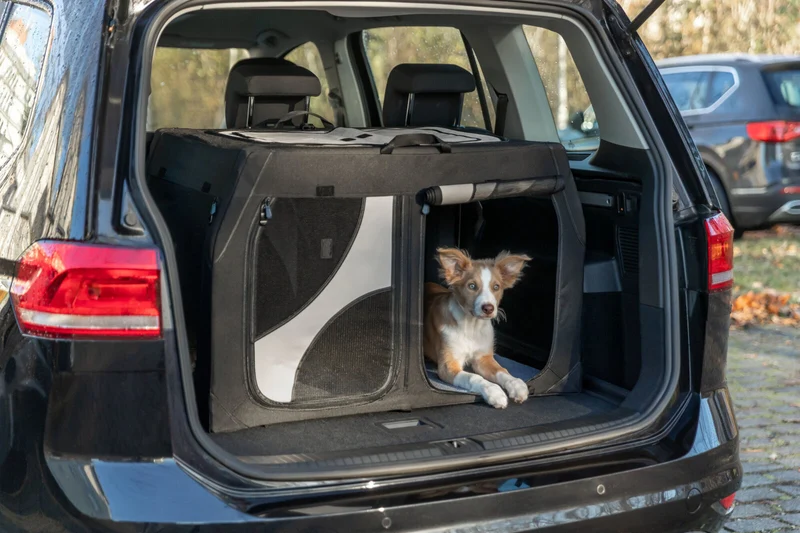 Hundebox Vario Double