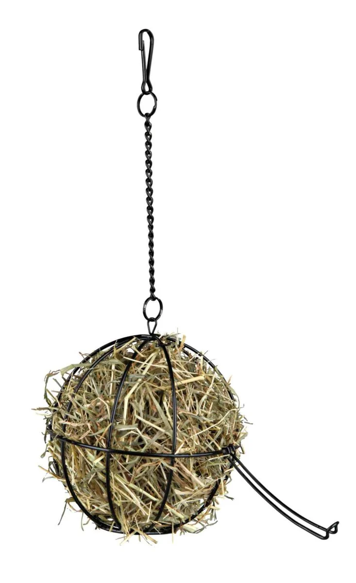 Food-Ball