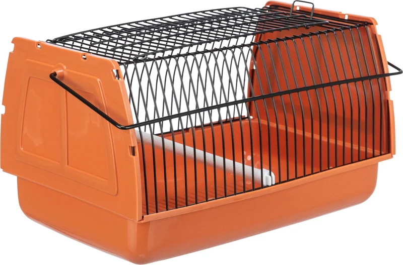 Transportbox