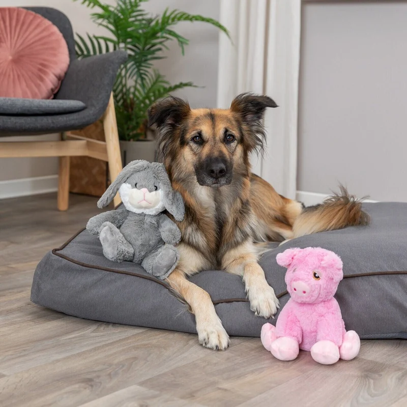Hundekissen Talis