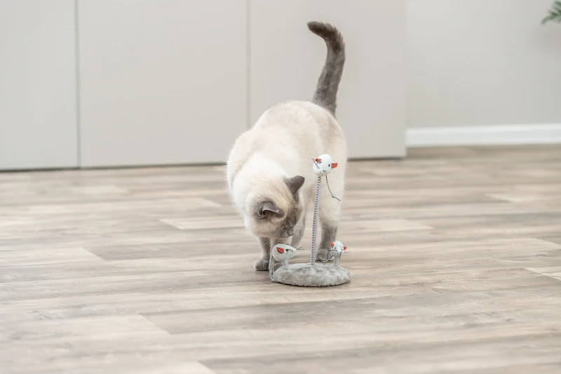 Katzenspielzeug mit wackelnden Plüschmäusen und Katzenminze