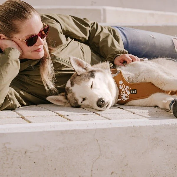 Weekend Warrior Hundegeschirr