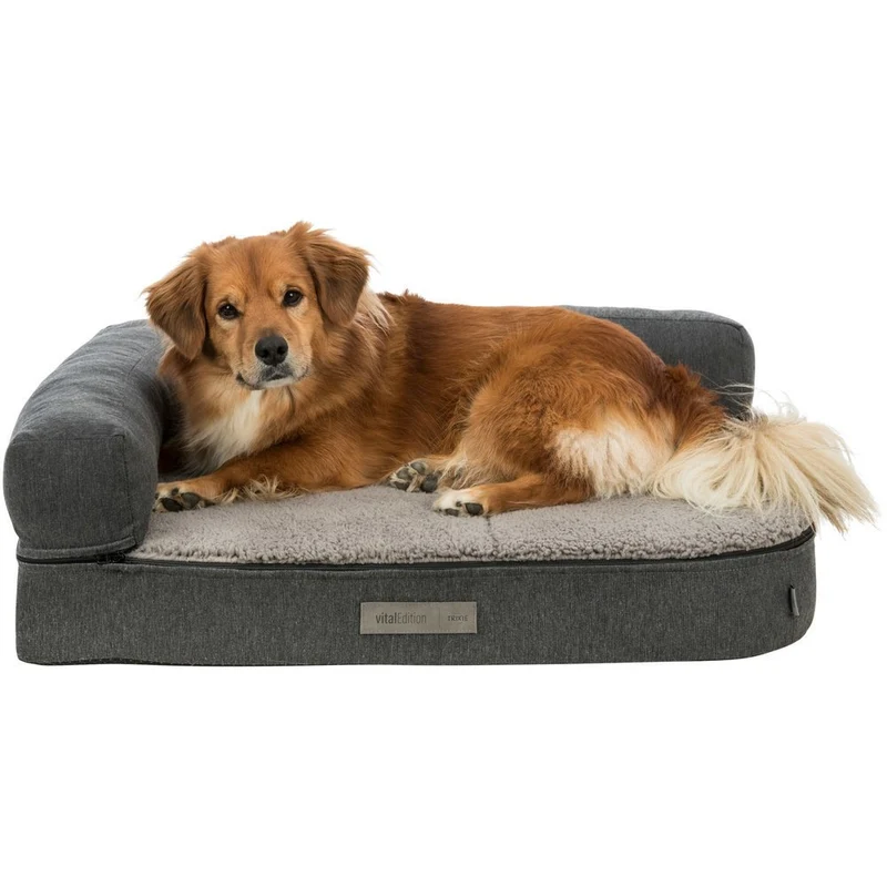 Vital Sofa Bendson
