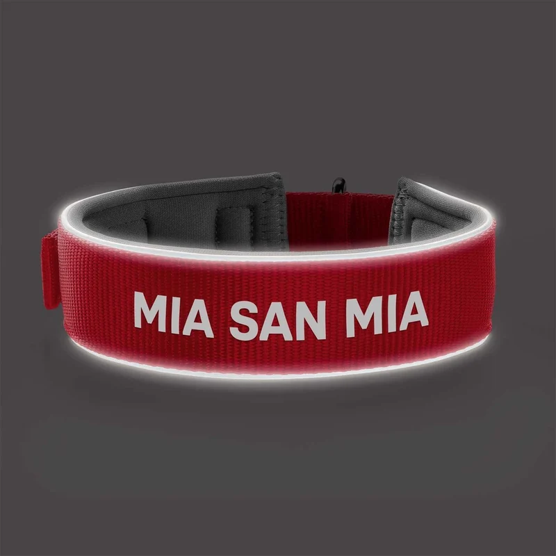 Halsband FC Bayern München