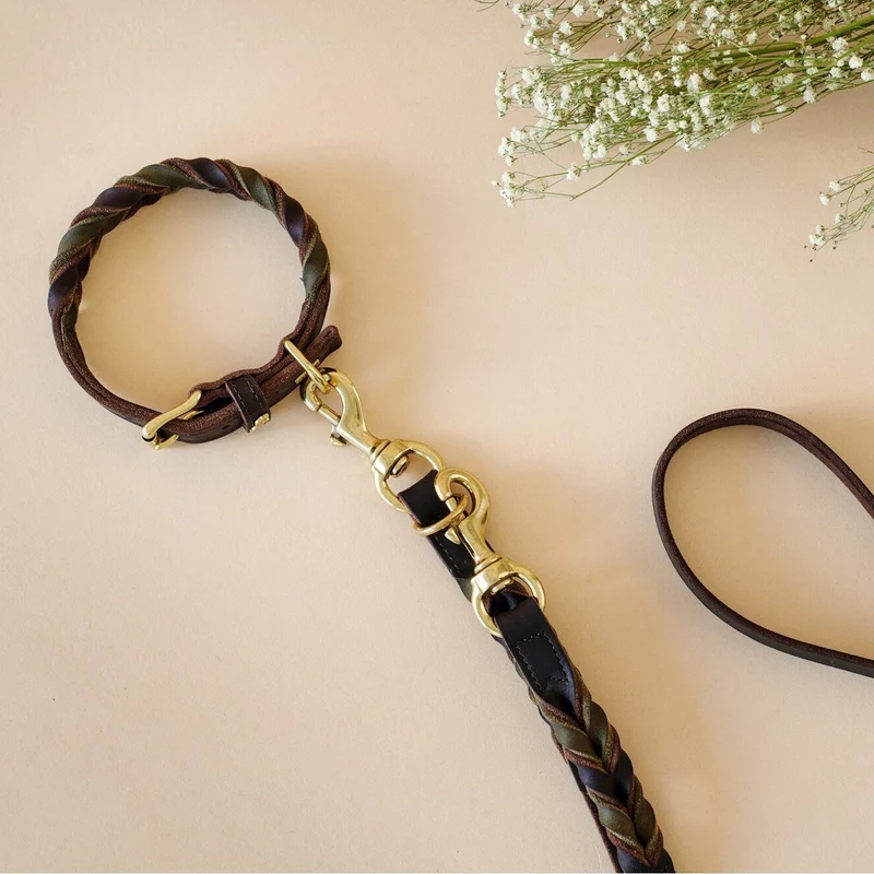 Halsband Solid Education Duo