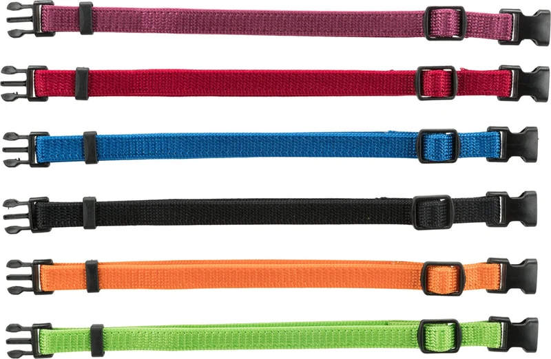 Junior Set Welpenhalsbänder
