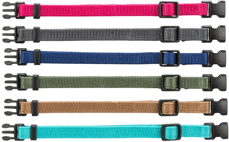 Junior Set Welpenhalsbänder