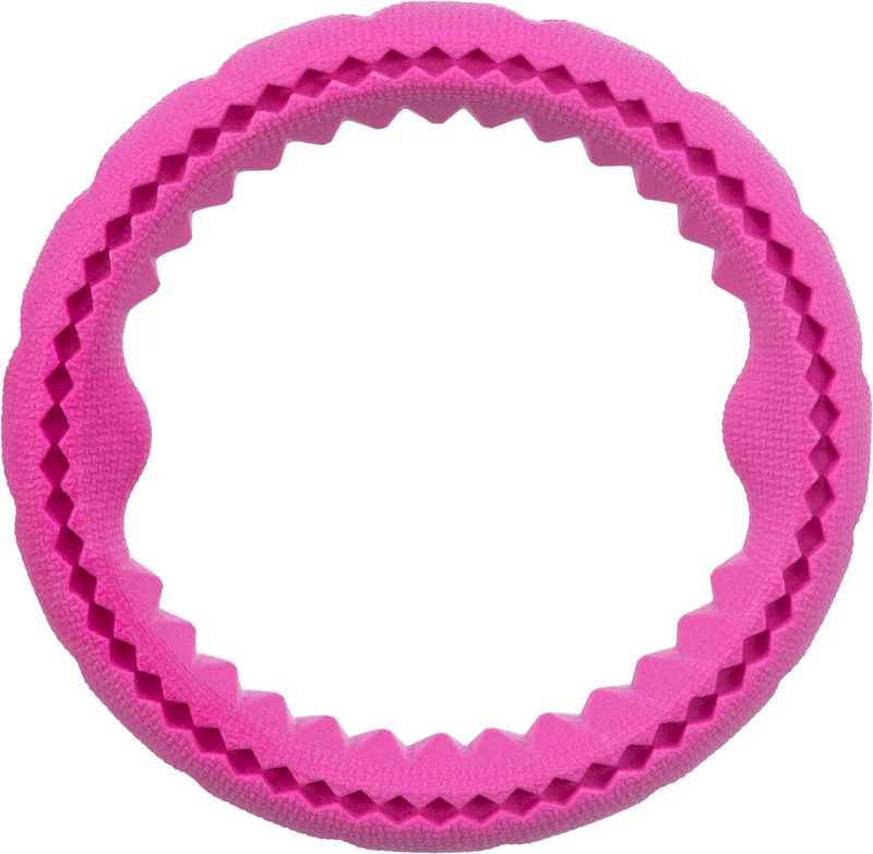 Aqua Toy Ring
