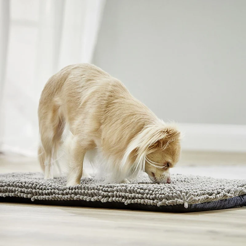 Wolters Cleankeeper Reise Pad Hundematte-saugfähig & waschbar