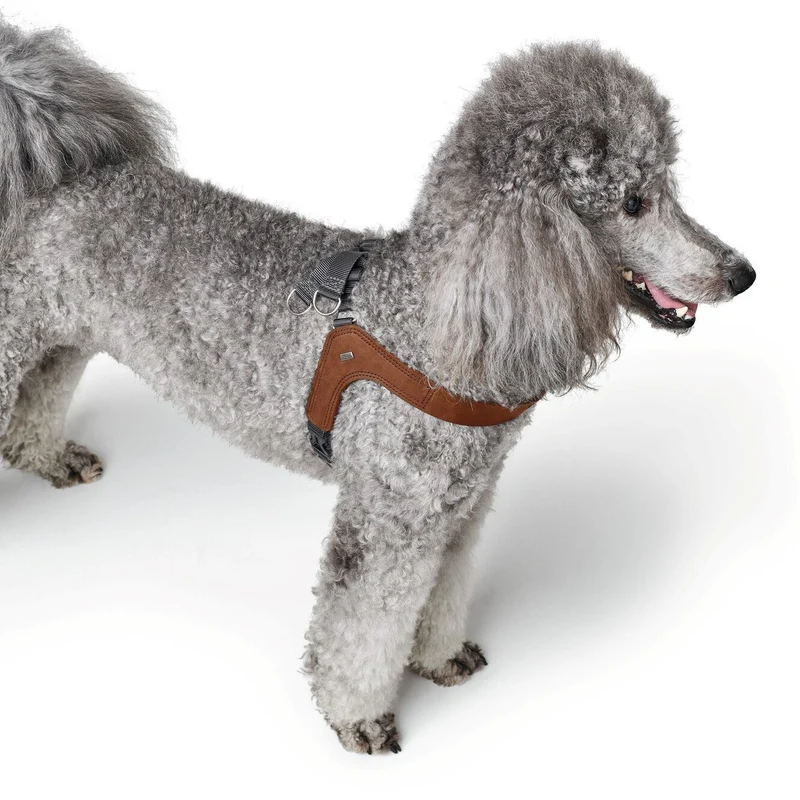 Hundegeschirr Leder Dimaro