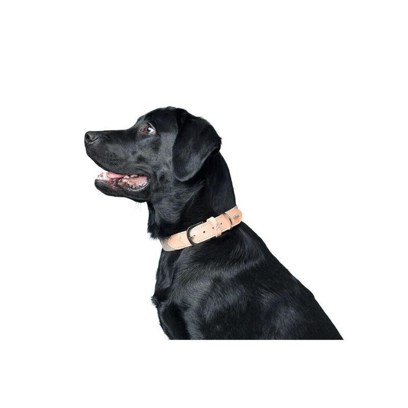 Hundehalsband Trino