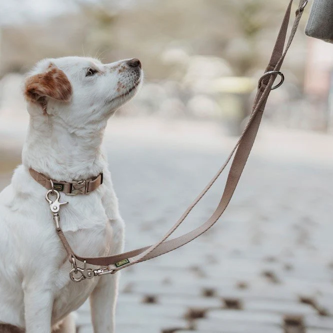 Verstellbare Führleine Inari für Hunde