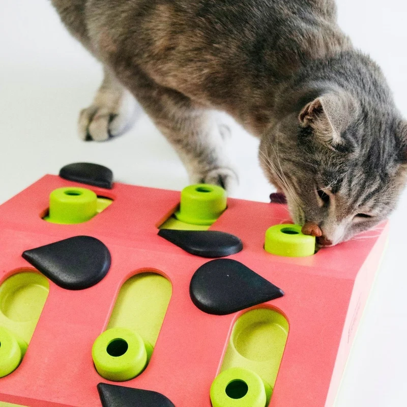 Katzen Puzzle Melon Madness