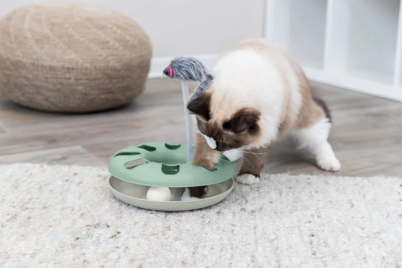 Intelligenzspielzeug Crazy Circle für Katzen, Karussell mit Maus