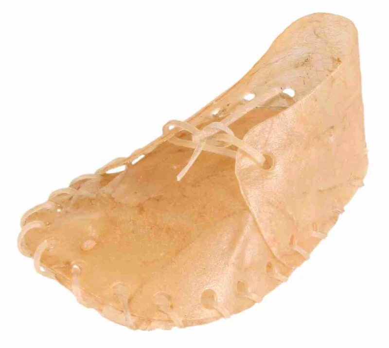 Kauschuh