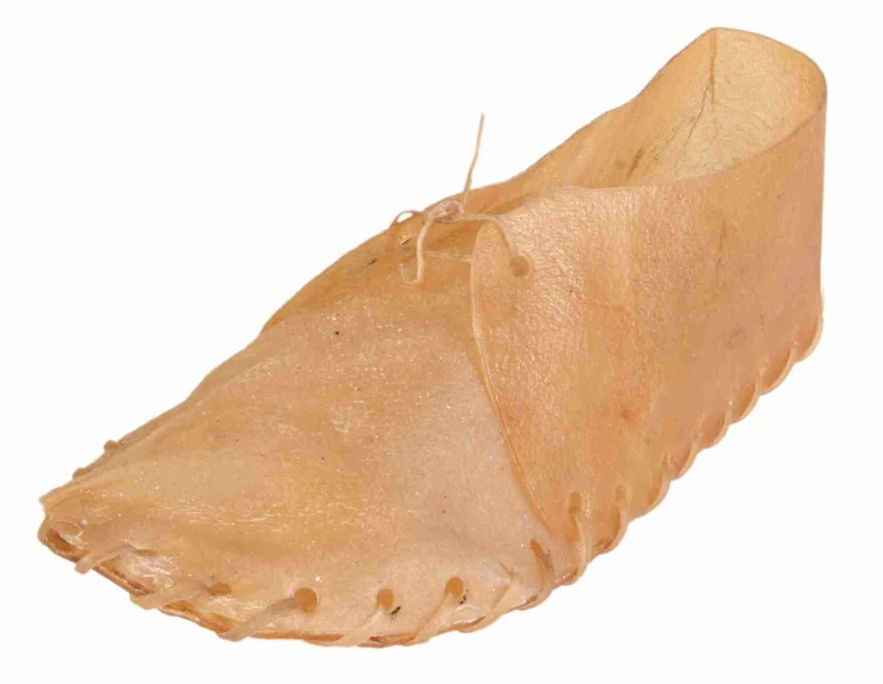 Kauschuh