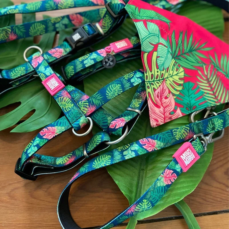 H-Geschirr Tropical