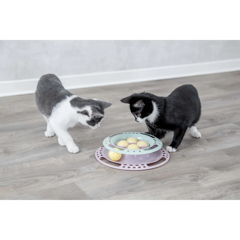 Junior Kitten Circle Katzenspielzeug