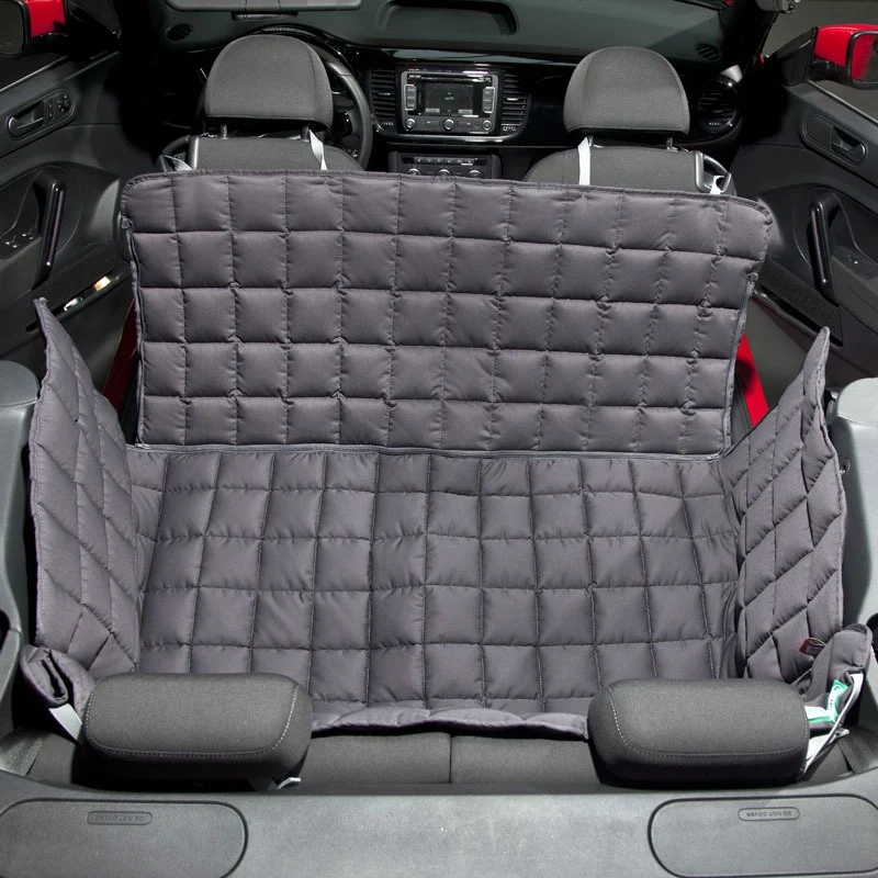 Doctor Bark 2-Sitzer 2-Türer Cabrio Autodecke