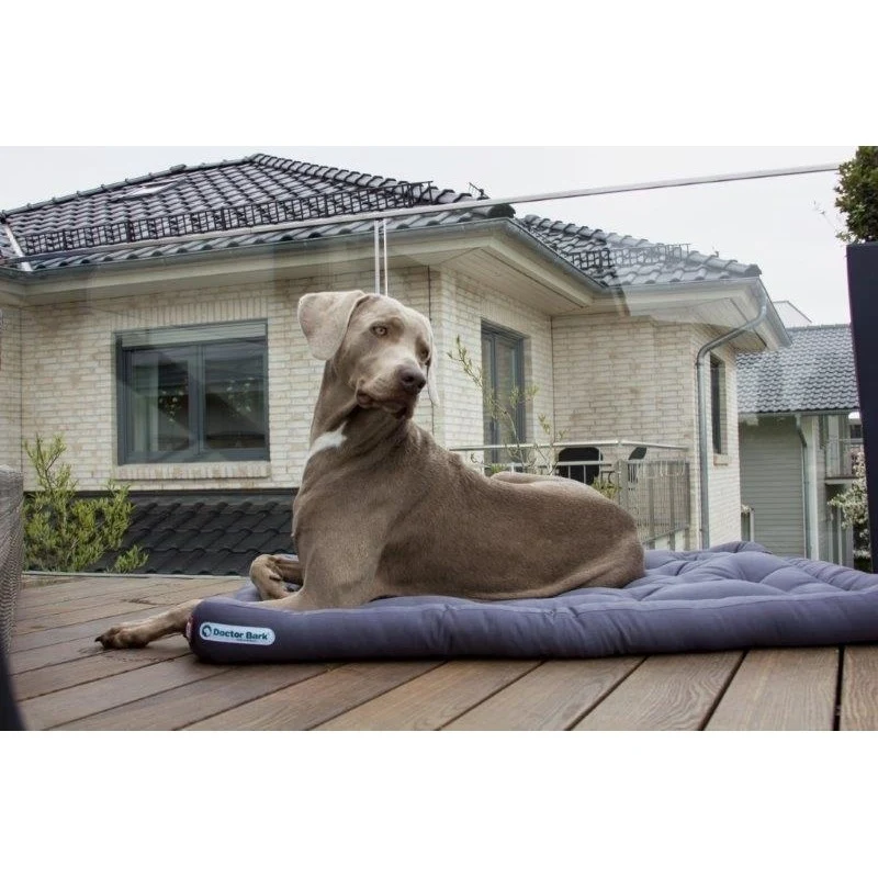 Doctor Bark Hundekissen – komplett waschbar bis 95 °C