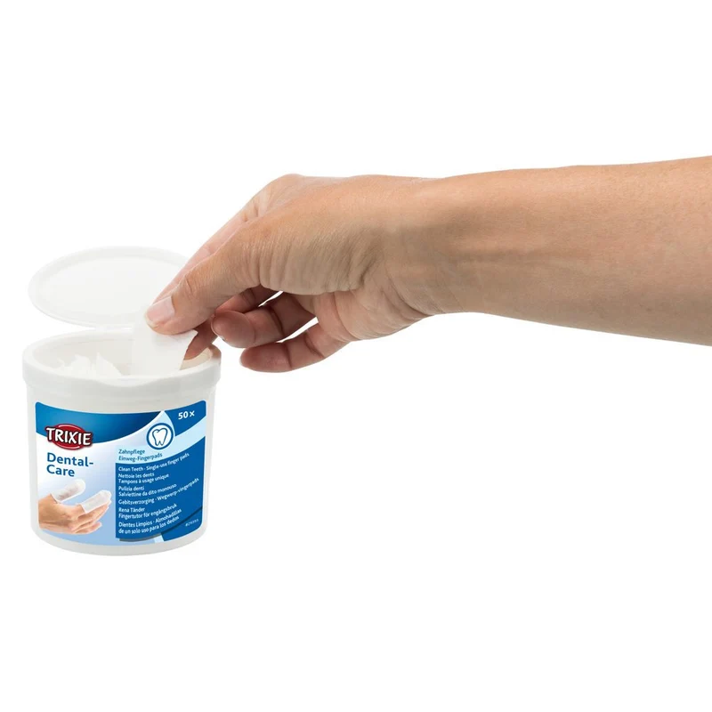 Dental Care Zahnpflege