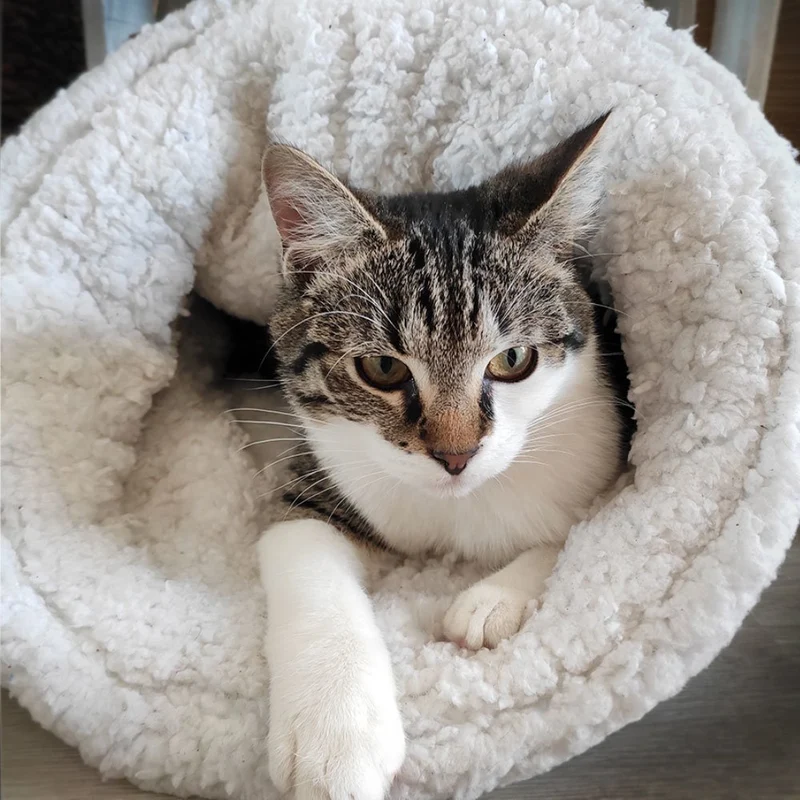 Kuschelsack Paul