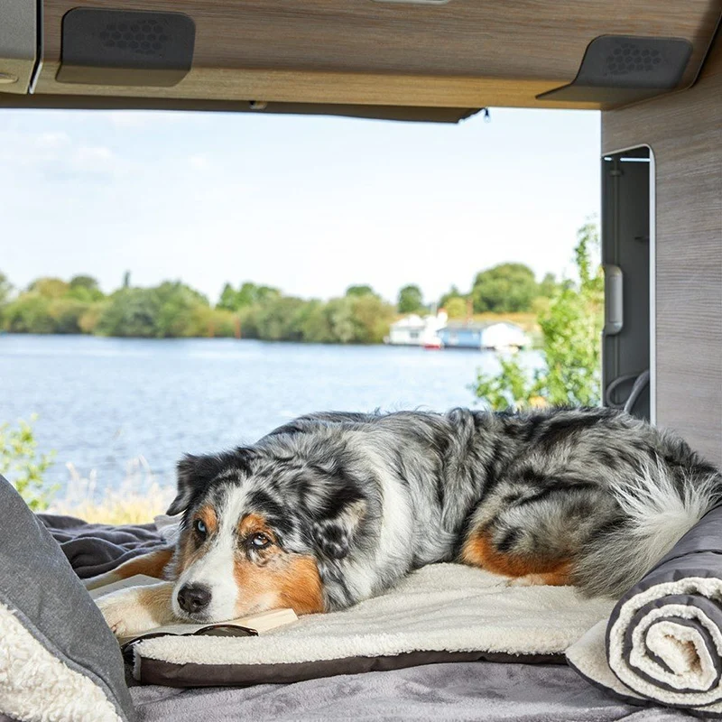Wolters Vagabund Reisedecke für Hunde