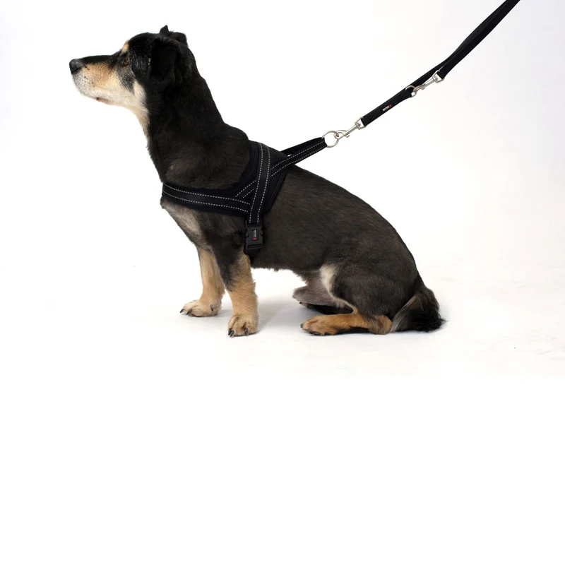 Wolters Hundegeschirr Soft & Safe reflektierend