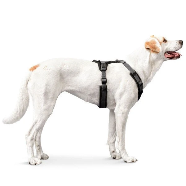 Hunter Hundegeschirr Maldon gepolstert